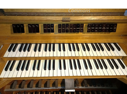 Source: Wikimedia Commons