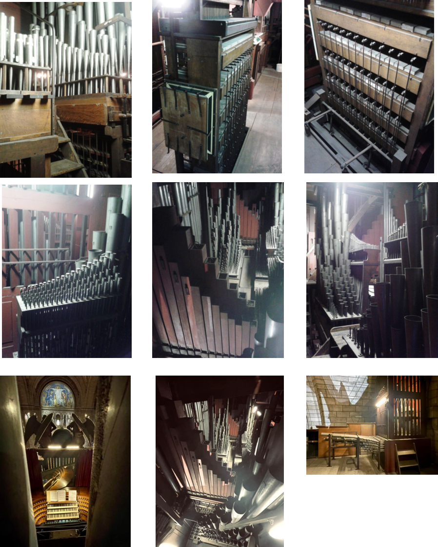 Photos : Jorris Sauquet