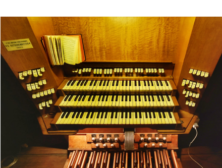 Photo : Gaspard de La Motte (facebook)